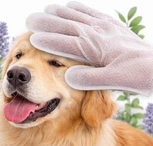 Aurora Pet Glove Wipes for Dogs & Cats, Wearable No-Rinse Grooming Glove Wipes for Paws, Face, Ears & Body, Hypoallergenic Disposable Pet Cleaning Wipes, Lavender Scented, 24 Count - Image 2
