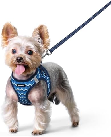rabbitgoo Dog Harness Small Sized and Leash Set, Step-in Puppy Pet Vest by rabbitgoo
