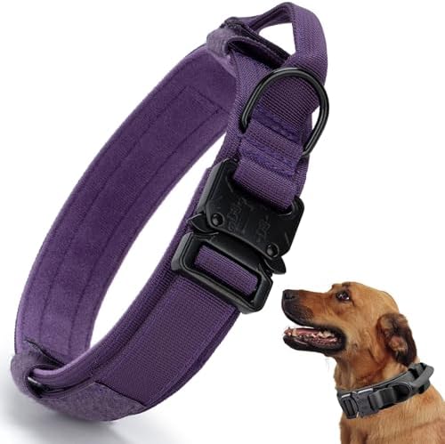 Tactical Dog Collar, Adjustable Military Training Nylon Collar, Purple XXL by CADONO