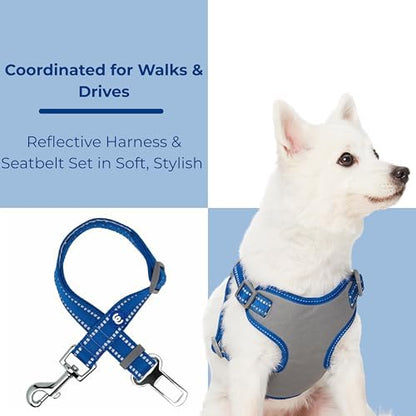 Blueberry Pet Pastel Colored Reflective Dog Harness with Seatbelt Clip – Adjustable No-Pull Pet Vest for Walking and Car Safety, Large Size in Navy Blue - Image 6