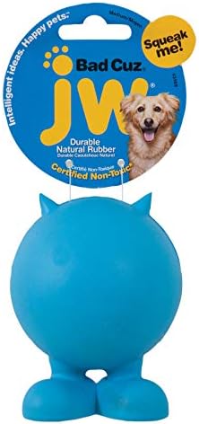 JW Pet Bad Cuz Dog Toy, assorted colors,Medium, Multi (43168) by JWPet