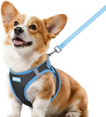 rabbitgoo Dog Harness Small Sized and Leash Set, Step in Soft Vest by rabbitgoo