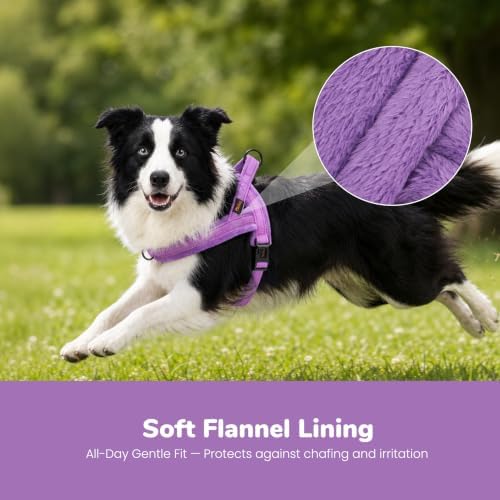 Didog No Pull Dog Harness for Medium Dogs, Soft Flannel Padded, Purple, M - Image 2