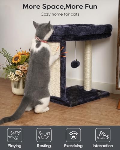 SYANDLVY Samll Cat Tree for Indoor Cats, Scratching Board Scratcher & Perch - Image 6