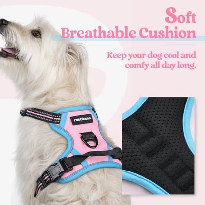 rabbitgoo Dog Harness, No Pull for Small Dogs with 2 Leash Clips, Pet Vest - Image 2