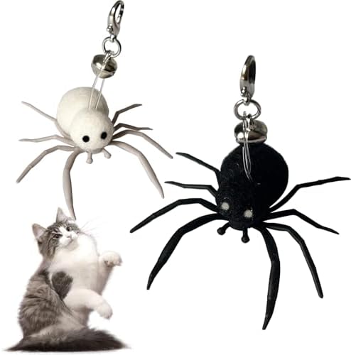 Cat Toy Insects Refills, Feather Wand Replacement Insects, Kitten Interactive Toys (2Pcs Refills(Spider)) by FBIRDY