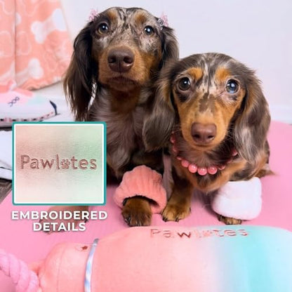 Haute Diggity Dog Pawlates Princess Water Bottle Plush Dog Toy Funny Parody - Image 4