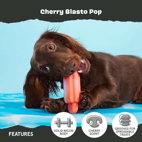 BarkBox Cherry Blasto Pop Dog Toy - for Small Dogs - Image 3