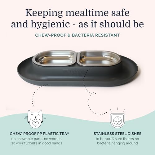 Hepper NomNom - Spill Proof Elevated Cat Bowls - Stainless Steel - Gray - Image 6