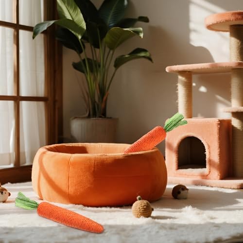 2 PCS Kitten Teething Toys for Indoor Cats, Cat Chew Toy Natural Sisal Cat Teething Toys Orange Carrot Interactive Cats Kicker Toy Interactive Kitten Kicker for Indoor Kitty Exercise - Image 5