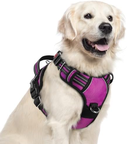 rabbitgoo Dog Harness for Large, No Pull 3 Buckles Easy On & Off by rabbitgoo