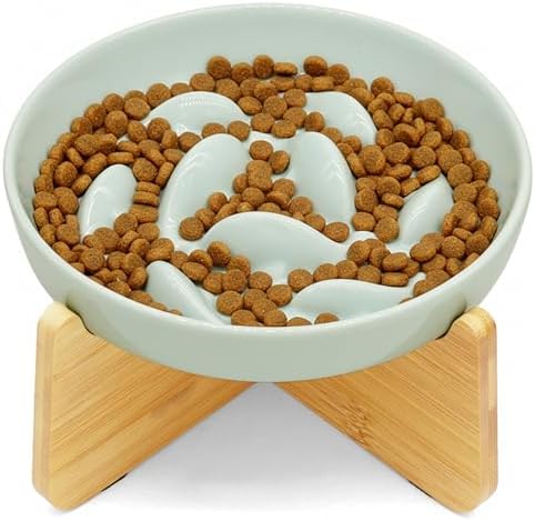 Elevated Ceramic Slow Feeder Cat Bowl, Fish‑Pool Anti‑Vomiting Puzzle Food Bowl for Cats and Small‑Sized Dogs by Cilkus