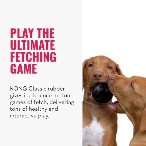 KONG Extreme Ball with Hole, Fetch Toy, Black, for Large/X-Large Dogs - Image 5