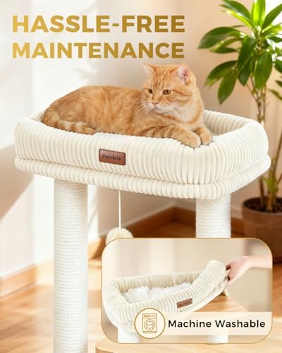 Small Cat Tree for Indoor Kittens, 30" Compact Modern Cat Tower - Image 5