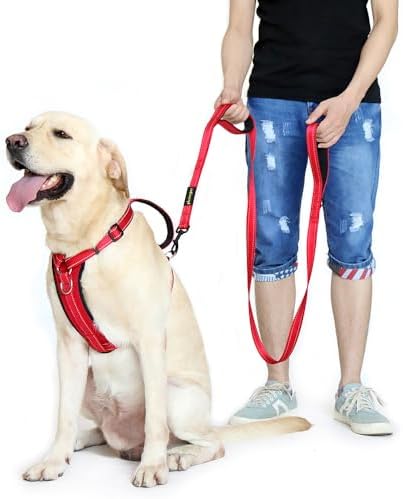 Plutus Pet Double Handle Dog Leash, 6 FT Long, for Medium Large Dogs - Image 3