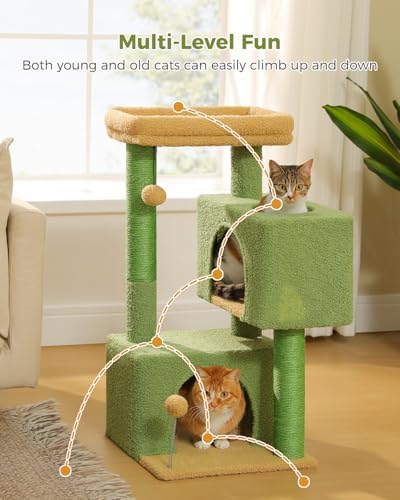 Small Cat Tree for Kittens, 32 in Cat Tower with 2 Cozy Condos - Image 6