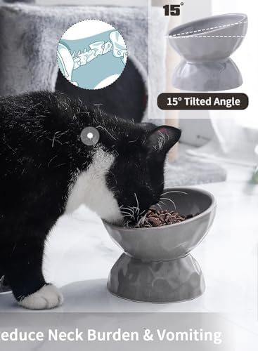 5 Inch Grey Tilted Ceramic Raised Cat Bowls Set of 2 - Image 2