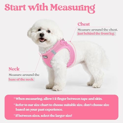 rabbitgoo Dog Harness Medium Sized and Leash Set, Step-in Puppy Pet Vest - Image 2