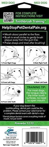 Brush My Teeth Medium Dog Toothbrush - Rounded Brush Head -Soft Flexible Bristles- for Safe and Gentle Brushing for Doggie, Any Medium Breed or Puppy, Daily Brushing Adds Years of Healthy Life - Image 2