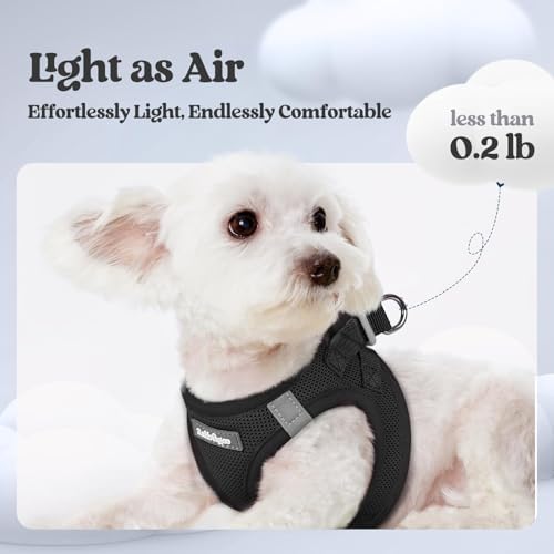 rabbitgoo Dog Harness Medium Sized and Leash Set, Step-in Puppy Pet Vest - Image 3