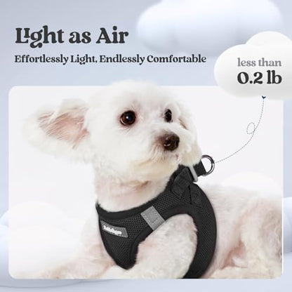 rabbitgoo Dog Harness Medium Sized and Leash Set, Step-in Puppy Pet Vest - Image 3