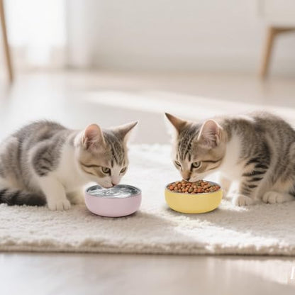 Kitten Food Bowls 2 Pack, Stainless Steel Cat Food and Water Bowl Set with Anti-Slip Silicone Bottom, 5 '' Wide Thick & Heavy Duty Metal Pet Bowls for Indoor Cats - Image 2