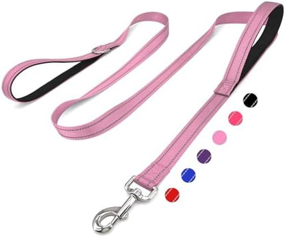 6 FT Pink Nylon Reflective Dog Leash for Medium Dogs with 2 Padded Handle by Unknown
