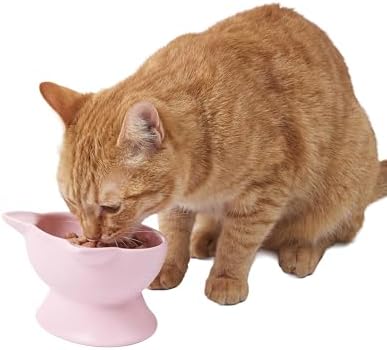 Kitty City Elevated Cat Bowls (Set of 2), Whisker-Friendly Raised Cat Food & Water Dishes, Modern Pedestal Design, Dishwasher Safe, 6.5 oz Each – Pink by KittyCity