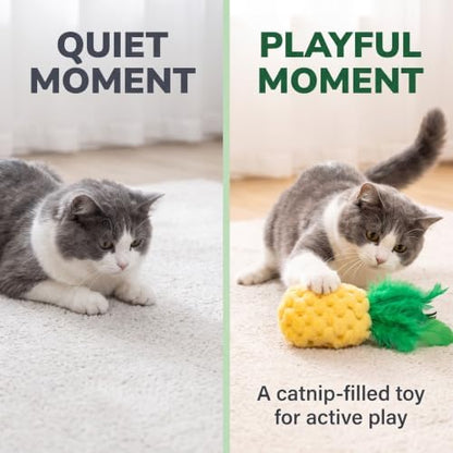BWESOO Pineapple Shape Cat Chew Toy - Catnip Molar Toys Teeth Cleaning Toy Pet Bite Resistant Pet Supplies,Fun Toy for Exercise Interactive Plush Playing Toy for Cat Kitten Yellow - Image 6