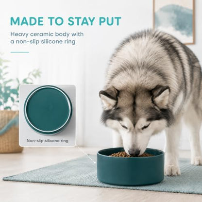 Havniva Ceramic Dog Bowls, 8.3” Dog Food and Water Bowl, Pet Feeding Bowl - Image 4