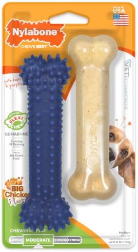 Nylabone Flexi Chew Original Bone & Textured Bone Dog Chew Toys, 2 Count by Nylabone