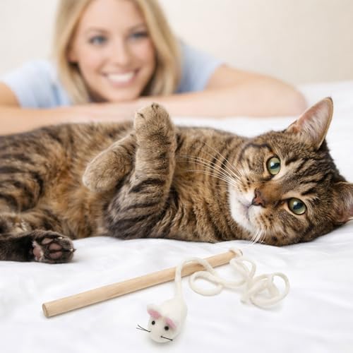 Glaciart One Mouse on a String Cat Toy – Durable Wooden Wand Cat Toy with Natural Wool Felt Mouse w/Catnip, Interactive Cat Toy on a Stick & Cat String Toys for Indoor Cats to Chase & Exercise - Image 4