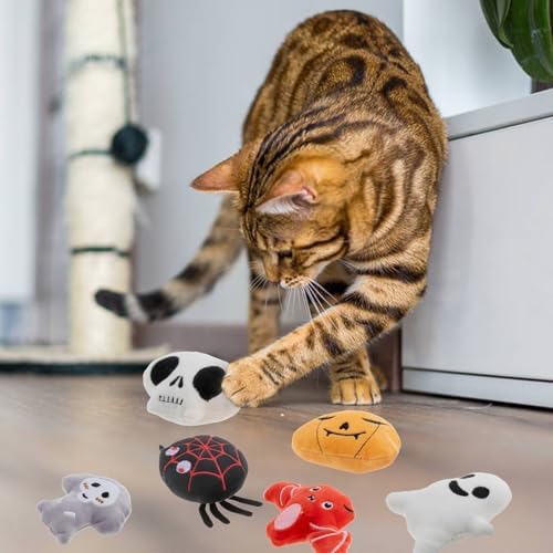 6pcs Halloween Catnip Toy，Indoor Pumpkin Ghost Shaped Cat Toy Plush Interactive Chew Bite Toys for Cat Kitten Indoor Festive Holiday Cat Lover Gift - Image 6