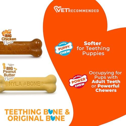 Nylabone Puppy Chew Teething Bone & Original Bone Dog Chew Toys, 2 Count - Image 5