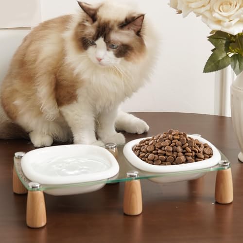 Raised Ceramic Pet Bowls with Beech Wood and Acrylic Stand, 13.5 OZ, Set of 2, for Cats and Small Dogs - Image 4