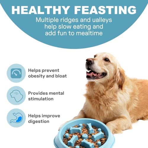 Slow Feeder Dog Bowls Anti Gulping Reduces Gastric Burden Prevents Bloat and Digestive Issues Safe Durable Material Easy to Clean Puppy Slow Feeder Bowl for Healthy Eating Excess Energy Management - Image 2
