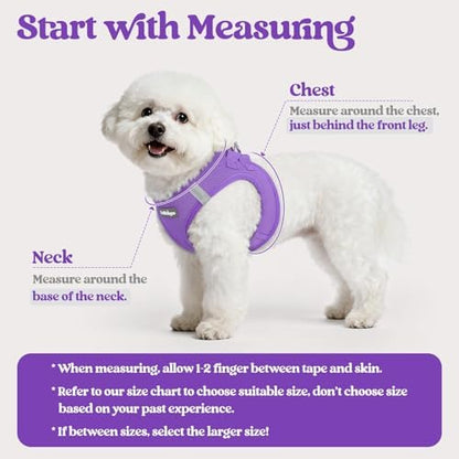 rabbitgoo Dog Harness Medium Sized and Leash Set, Step-in Puppy Pet Vest - Image 2