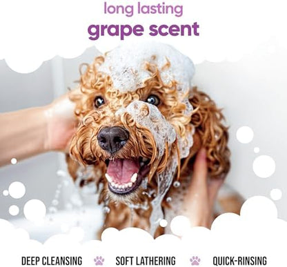 Grape Scented Puppy Shampoo by Buddycare | For Smelly Dogs from 8 Weeks | Aloe Vera & Pro Vitamin B5 (16.90oz) - Image 4