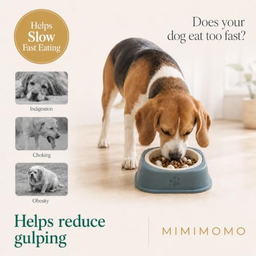 Ceramic Dog Slow Feeder Bowl for Dogs and Cats, Sage Blue - Image 4
