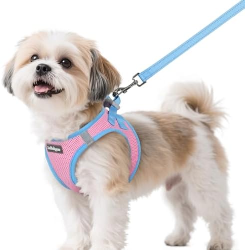 rabbitgoo Dog Harness Small Sized and Leash Set, Step in Soft Vest by rabbitgoo