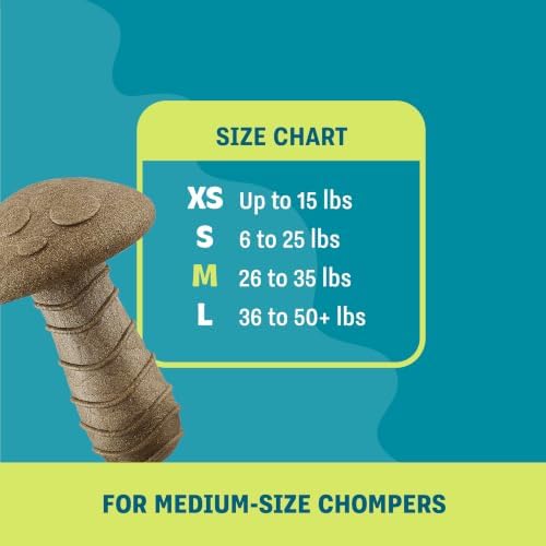 Dogwood Mushroom Dog Chew Toy – Real-Wood Blend, Peanut Butter Scented, Moderate Chewers, Medium, 4.8" x 3.4" x 3.4" - Image 5