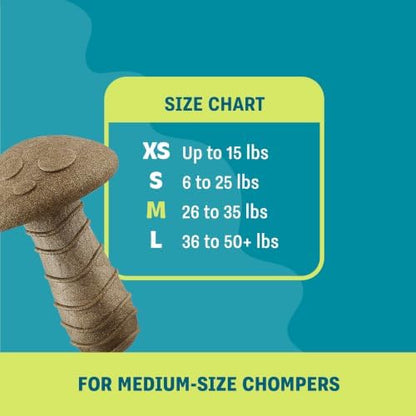 Dogwood Mushroom Dog Chew Toy – Real-Wood Blend, Peanut Butter Scented, Moderate Chewers, Medium, 4.8" x 3.4" x 3.4" - Image 5