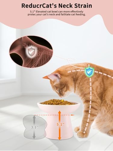 LoeJan Elevated Cat Food and Water Bowls Set, Extra Wide and Raised Ceramic Feeder, Anti-Vomit Whisker-Free Pressure Feeding Bowl for Kittens Adult Cats Small Dogs(Pink, Food Bowl) - Image 3