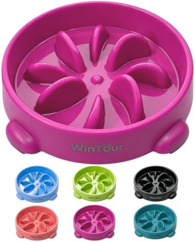 WinTour Slow Feeder Dog Bowls for Small Medium Pets, Round PP Dish, 1 Pack by WinTourDogToys