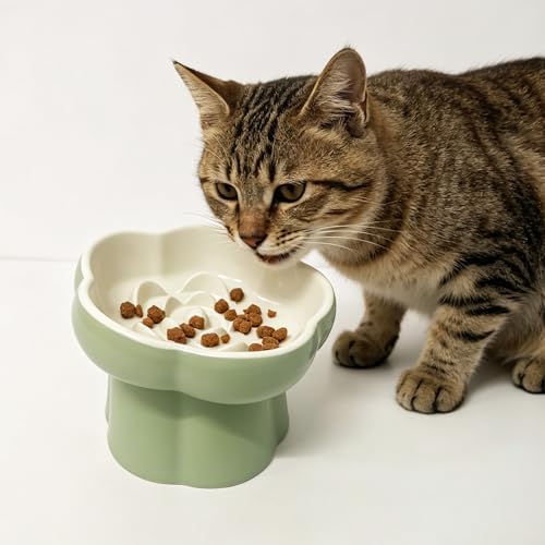 Elevated Flower Ceramic Slow Feeder Cat Bowl, Raised Anti-Gulping Pet Food Bowl, Slower Eating Cat Dish Prevents Vomiting, Healthy Feeding Bowl for Indoor Cats Kittens Small Dogs by Unknown