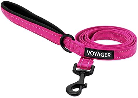 Best Pet Supplies Voyager Nylon Dog Leash - Fuchsia, Medium by BestPetSuppliesLLC