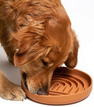 Slow Feeder Dog Bowl - Silicone Dog Bowl, Large, 9.5" x 1.5" - Terracota by ShouldWeGo