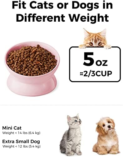 LoeJan Elevated Cat Food Bowl, 5 Oz Ceramic Raised and Tilted Water Bowl, Anti Vomiting and Protect Pets' Spines Dishes for Small Dog, Fat Faced Cat, Kitten (Pink, 1 Pack) - Image 2