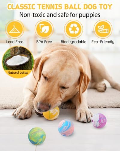 SCHITEC Dog Squeaky Toy Balls, Interactive Tennis Ball for Puppies Small Pet Medium Breed Dogs, Latex Rubber Puppy Fetch Play Toys - Image 4
