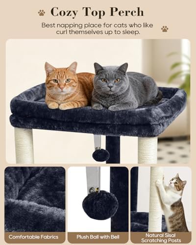 SYANDLVY Small Cat Tree for Indoor Cats with 2 Levels Perch Platforms - Image 4